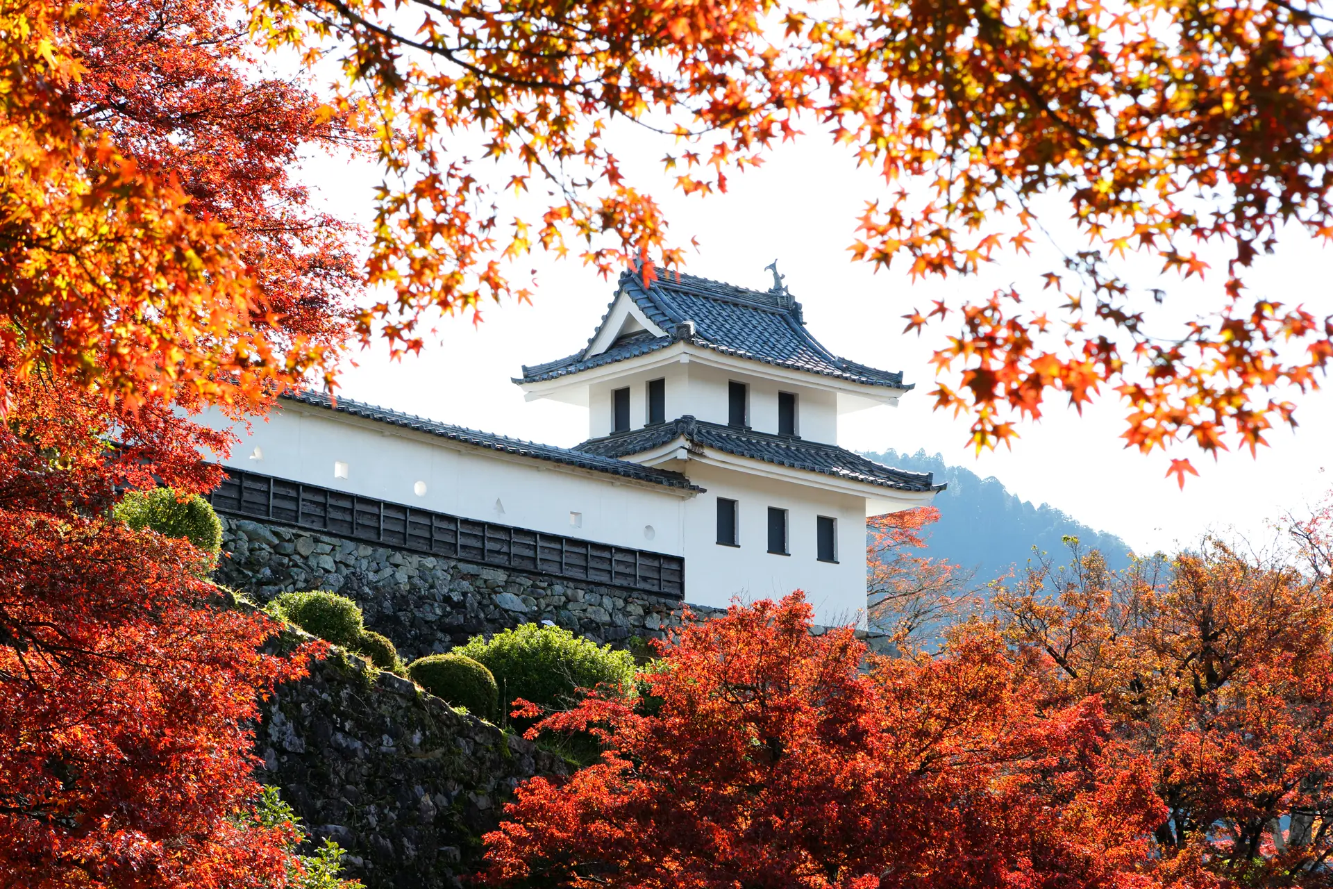 郡上八幡城