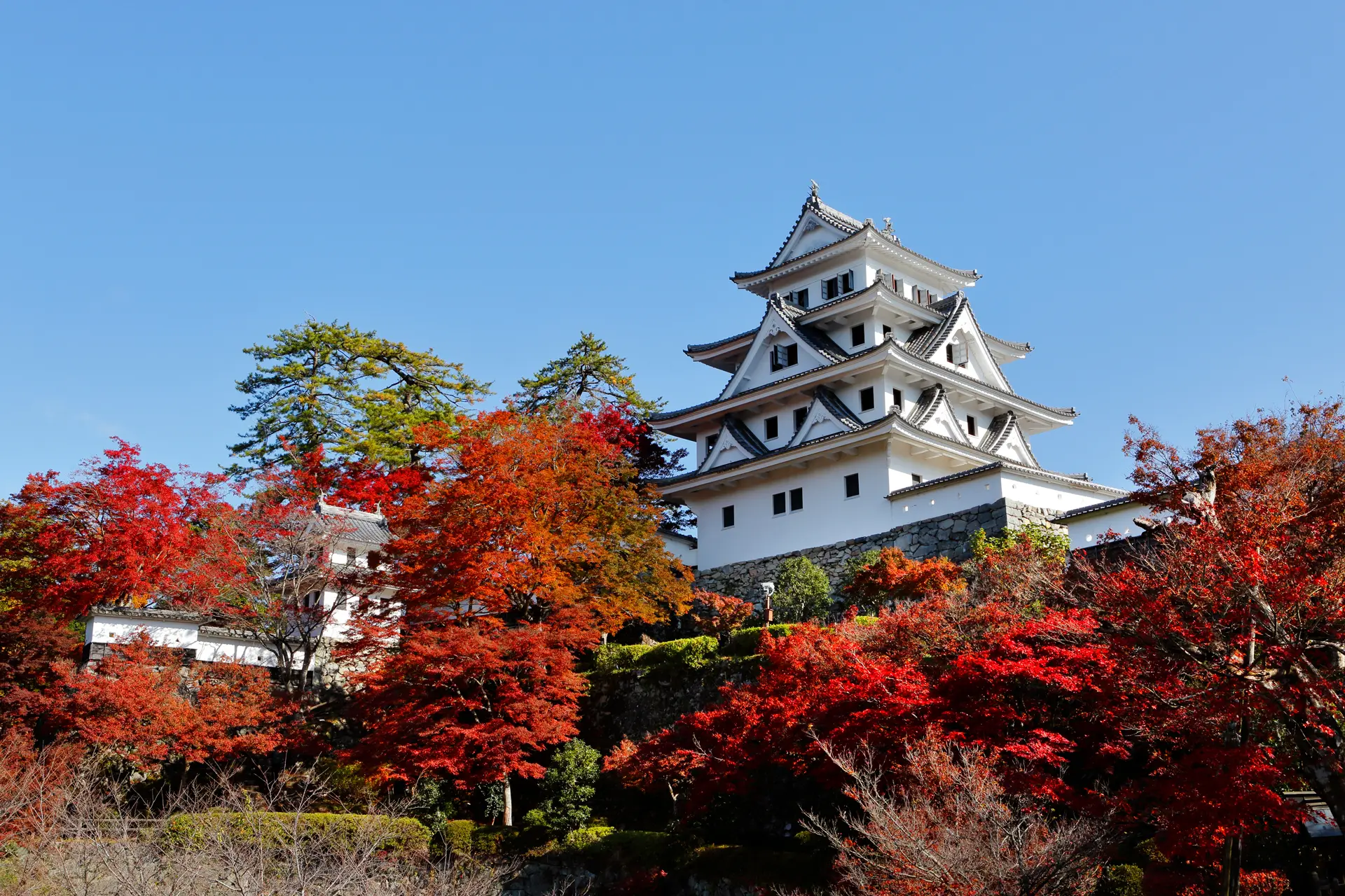 郡上八幡城