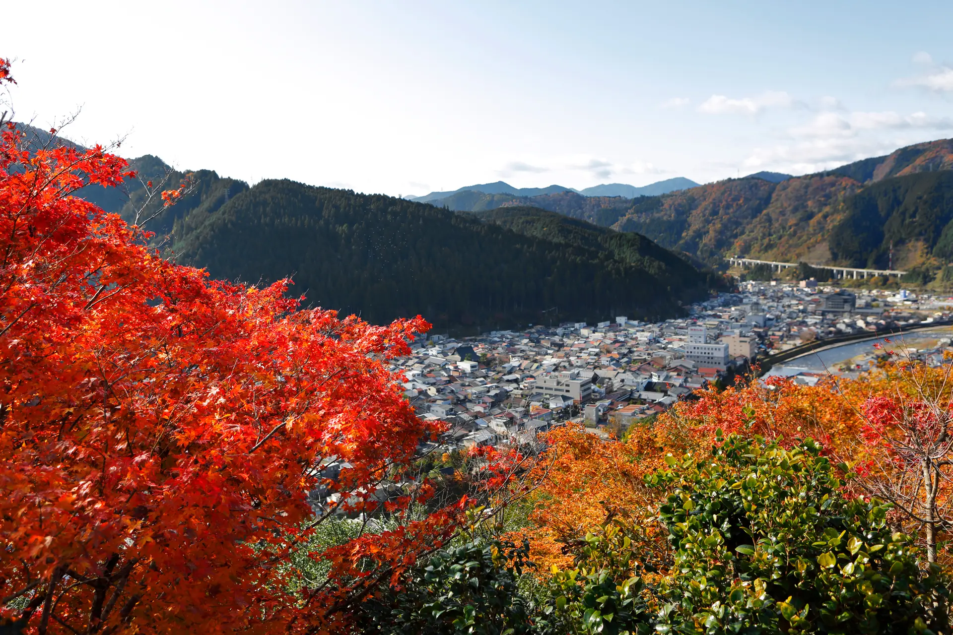 郡上八幡城