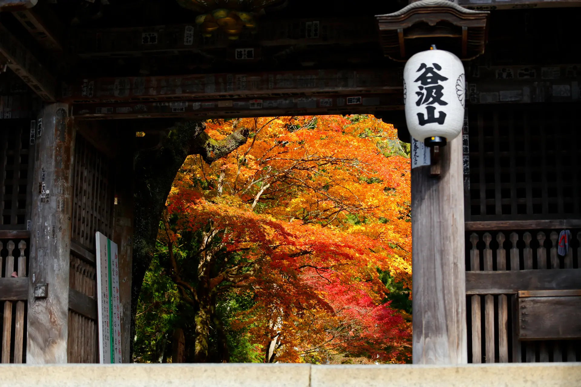 谷汲山華嚴寺