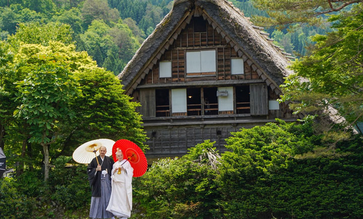 LA Pina a Gifu, Realizza a Gifu il viaggio della tua vita.